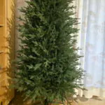 Smrk královský Slim Full 100 % 3D